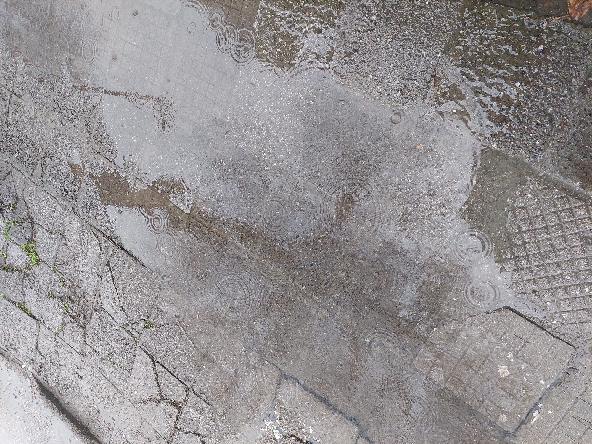 Morning rainfall creates puddles across Plovdiv streets