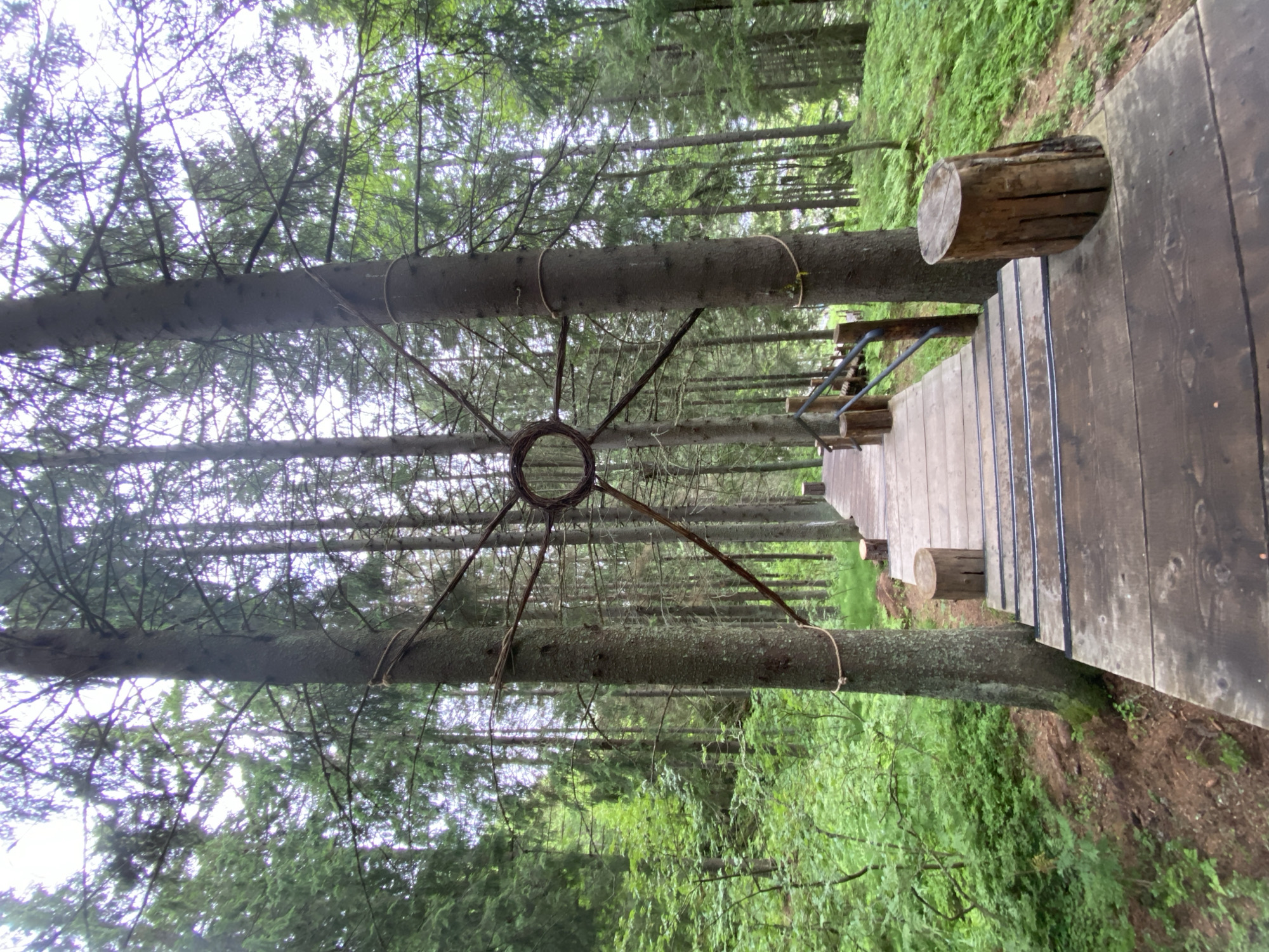 Exploring a forest trail and lake overlook near Lakhdenkiulya, Russia