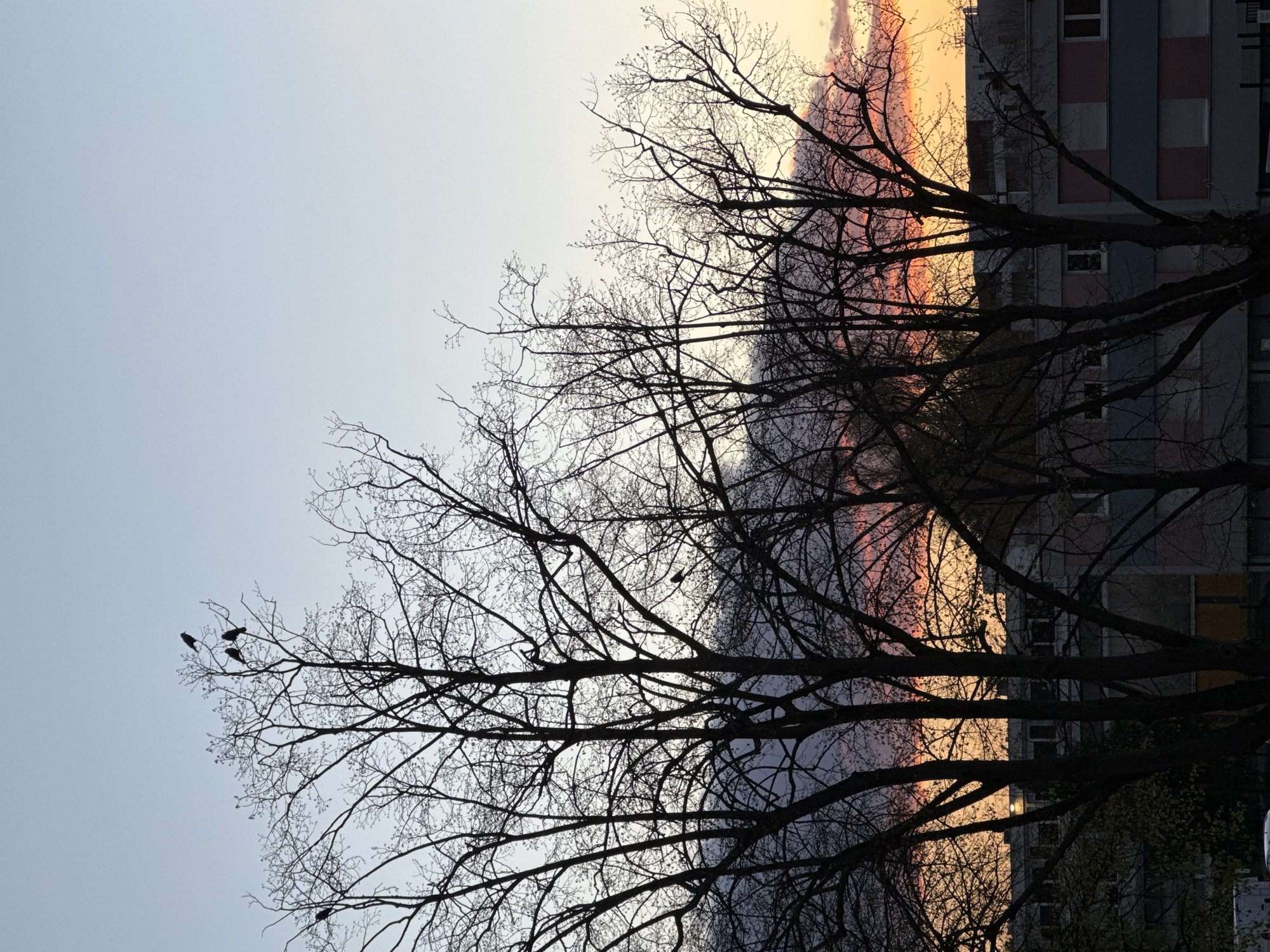 Sunset scenes captured across Strasbourg neighborhoods