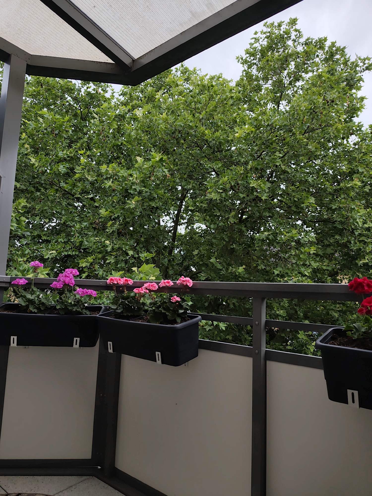 Frankfurt morning moments: balcony view and cosmetic organizer captured