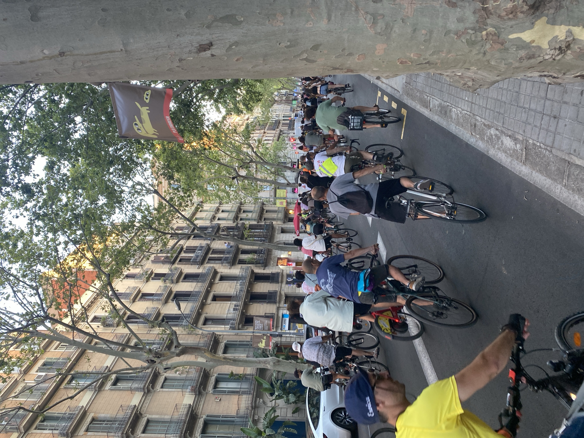 Barcelona dinner service and a city cycling ride, one evening.