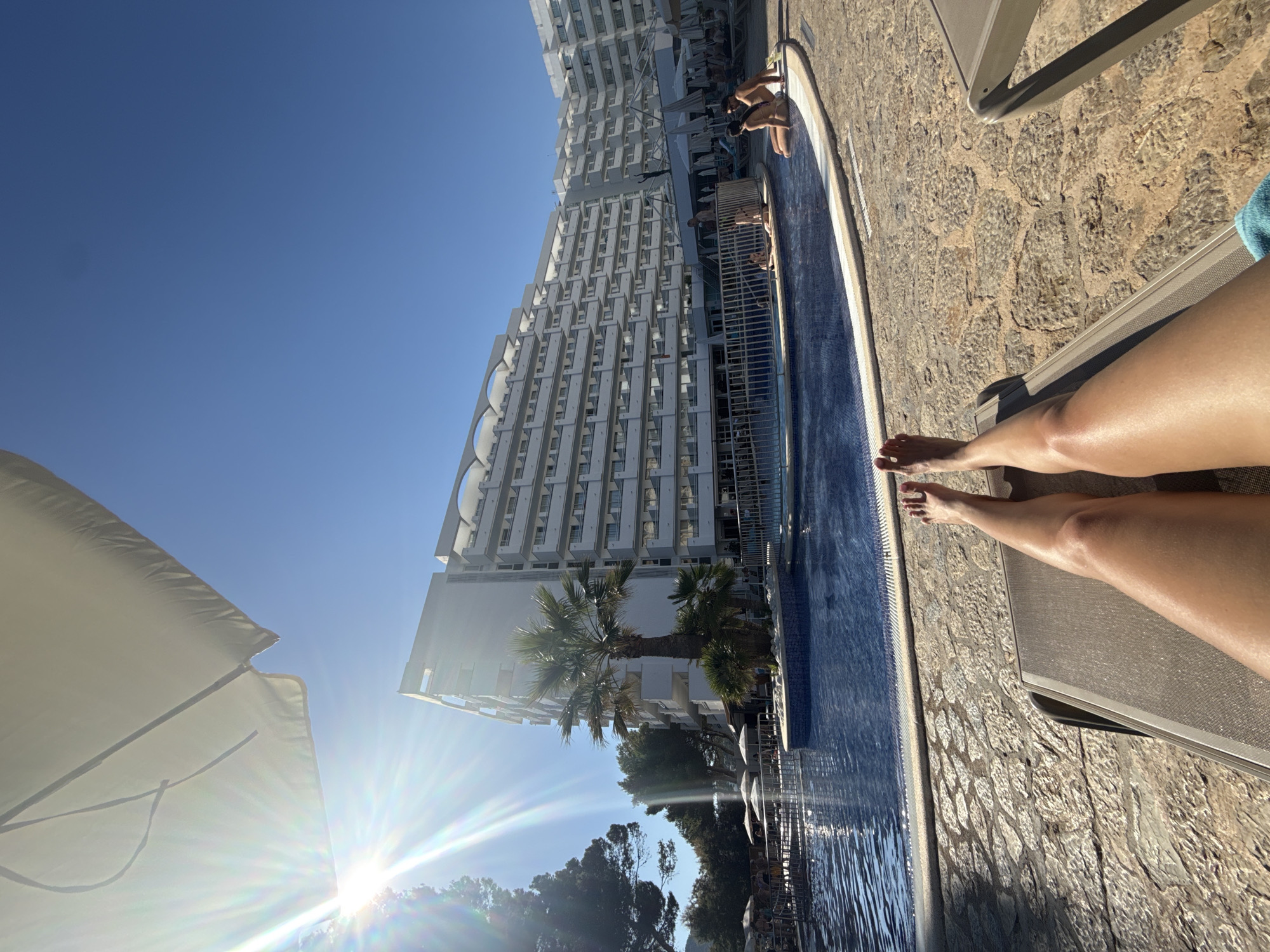 Poolside afternoon in Andratx with cocktails and curious seagulls