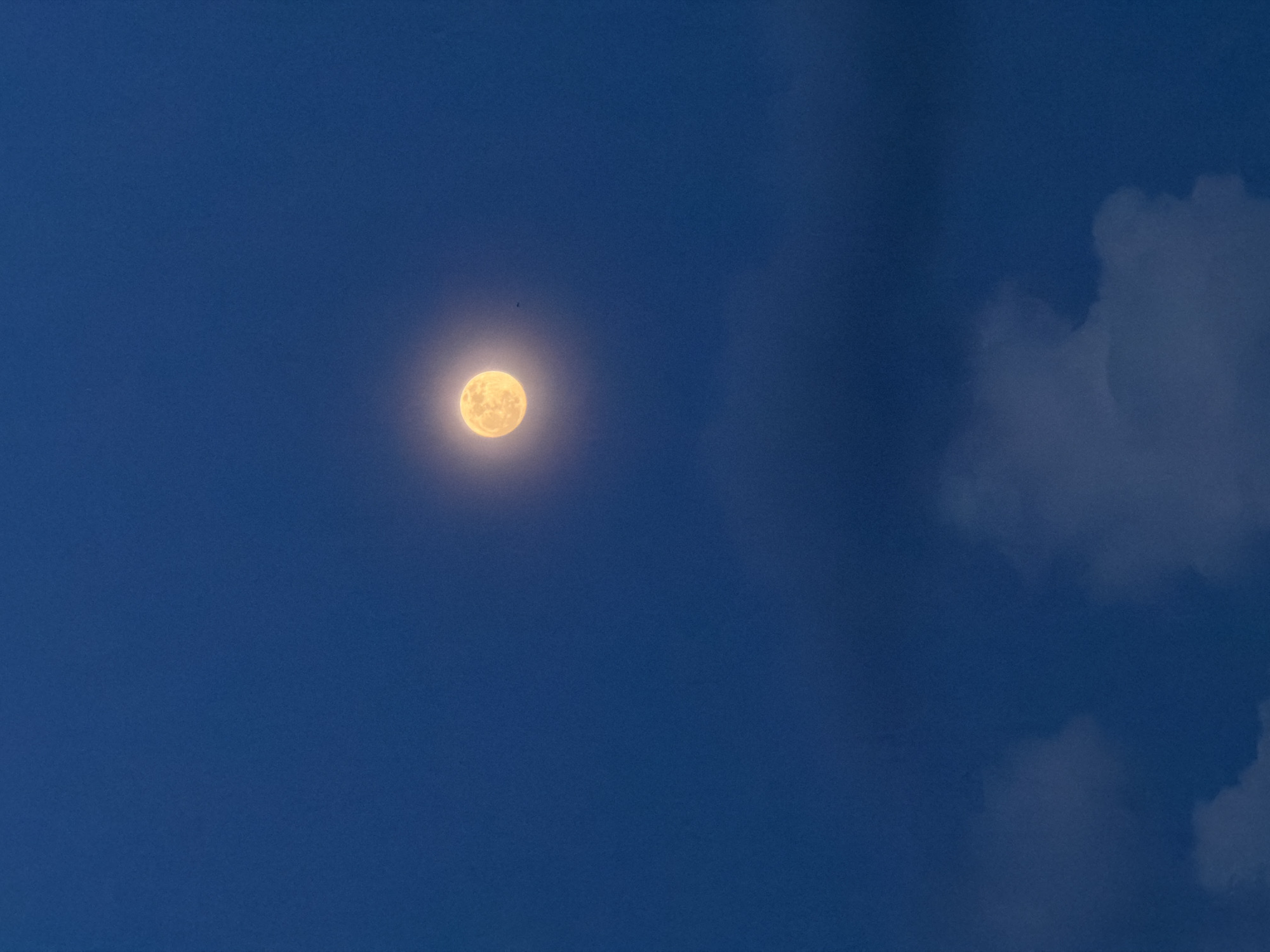 Orange full moon rising over Đà Nẵng at twilight