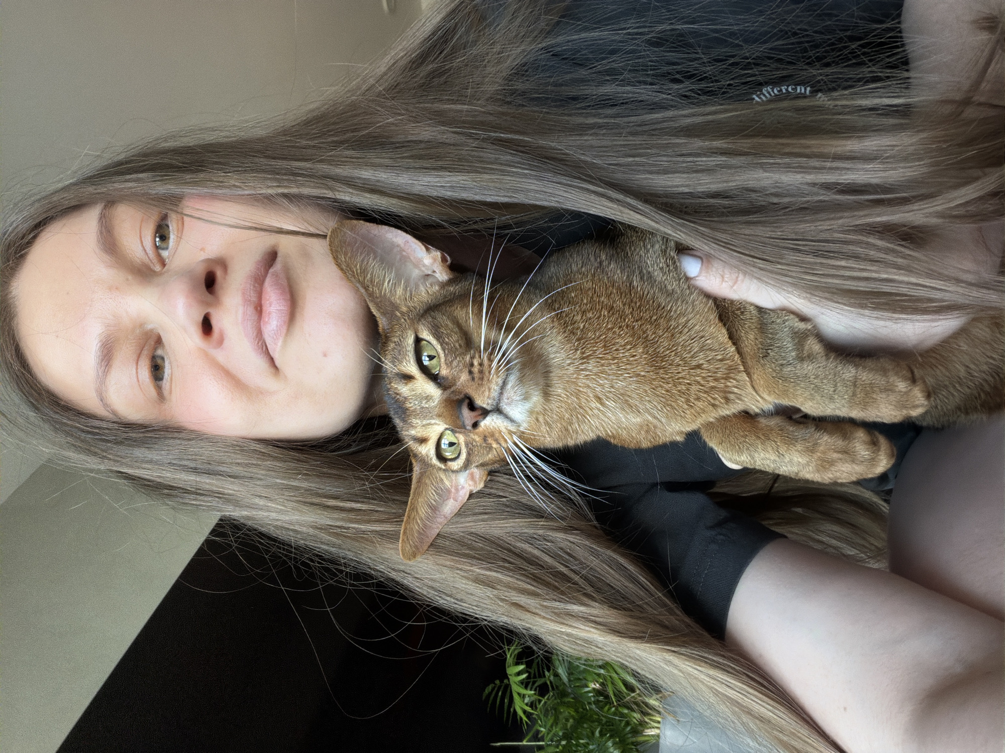 Evening cat photos and pet interactions in Glendale home