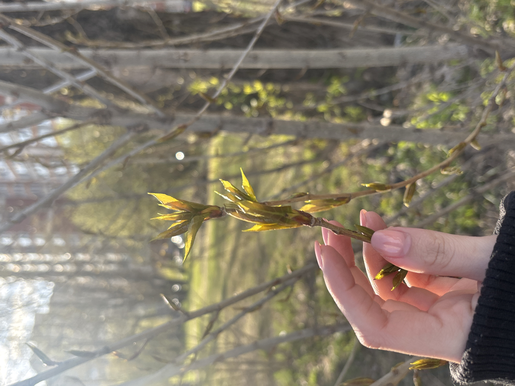 Spring moments documented across Saint Petersburg in eight minutes
