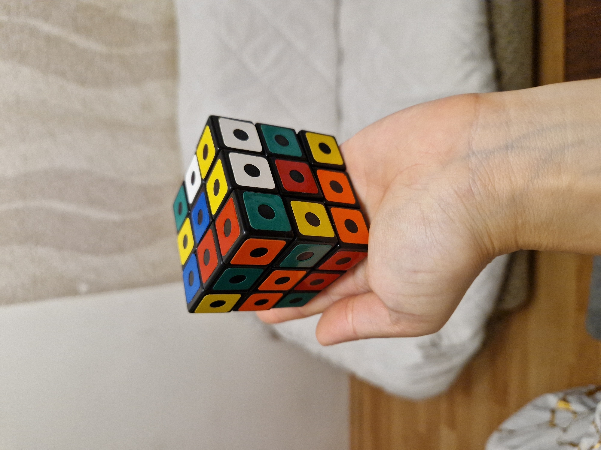 Rubik's Cube and a tabby cat, close-up in Lovech