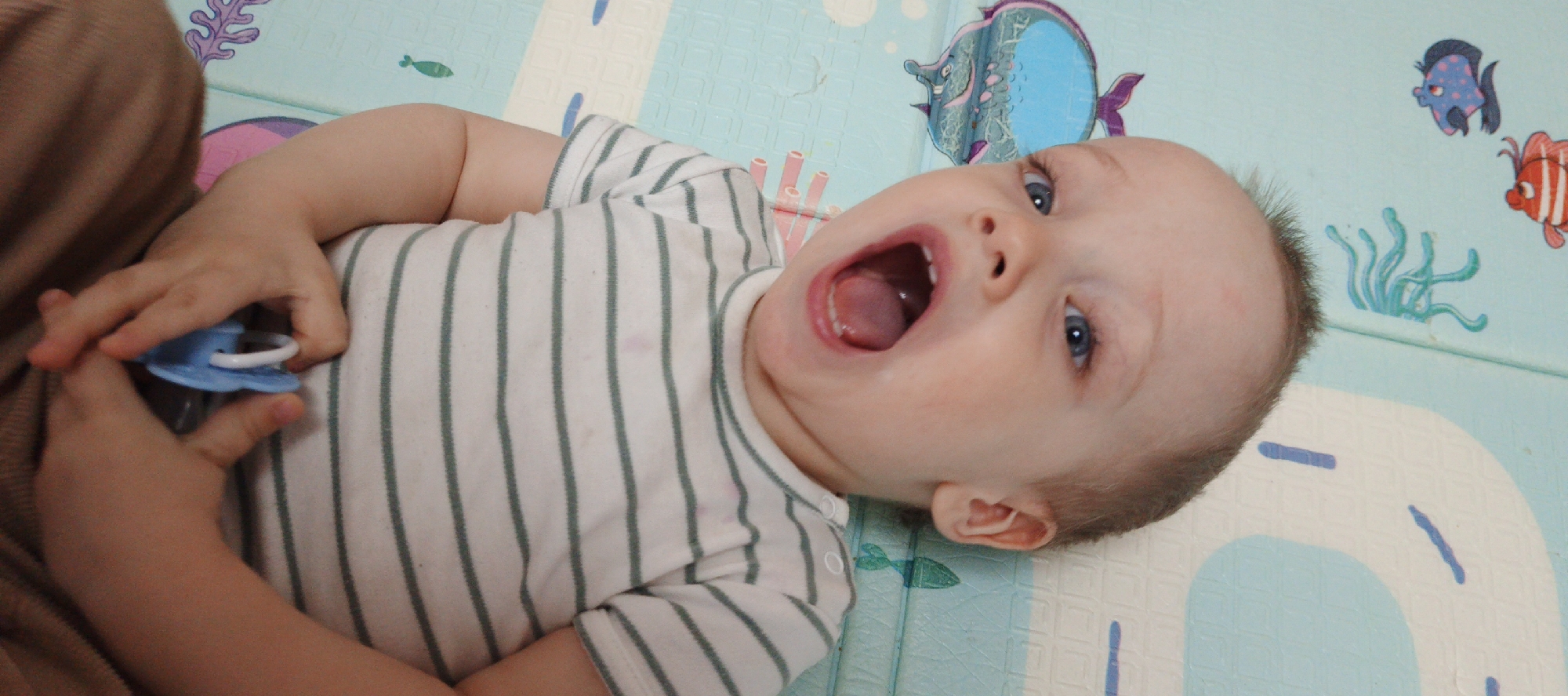 Morning playtime documented in Chaikovsky household