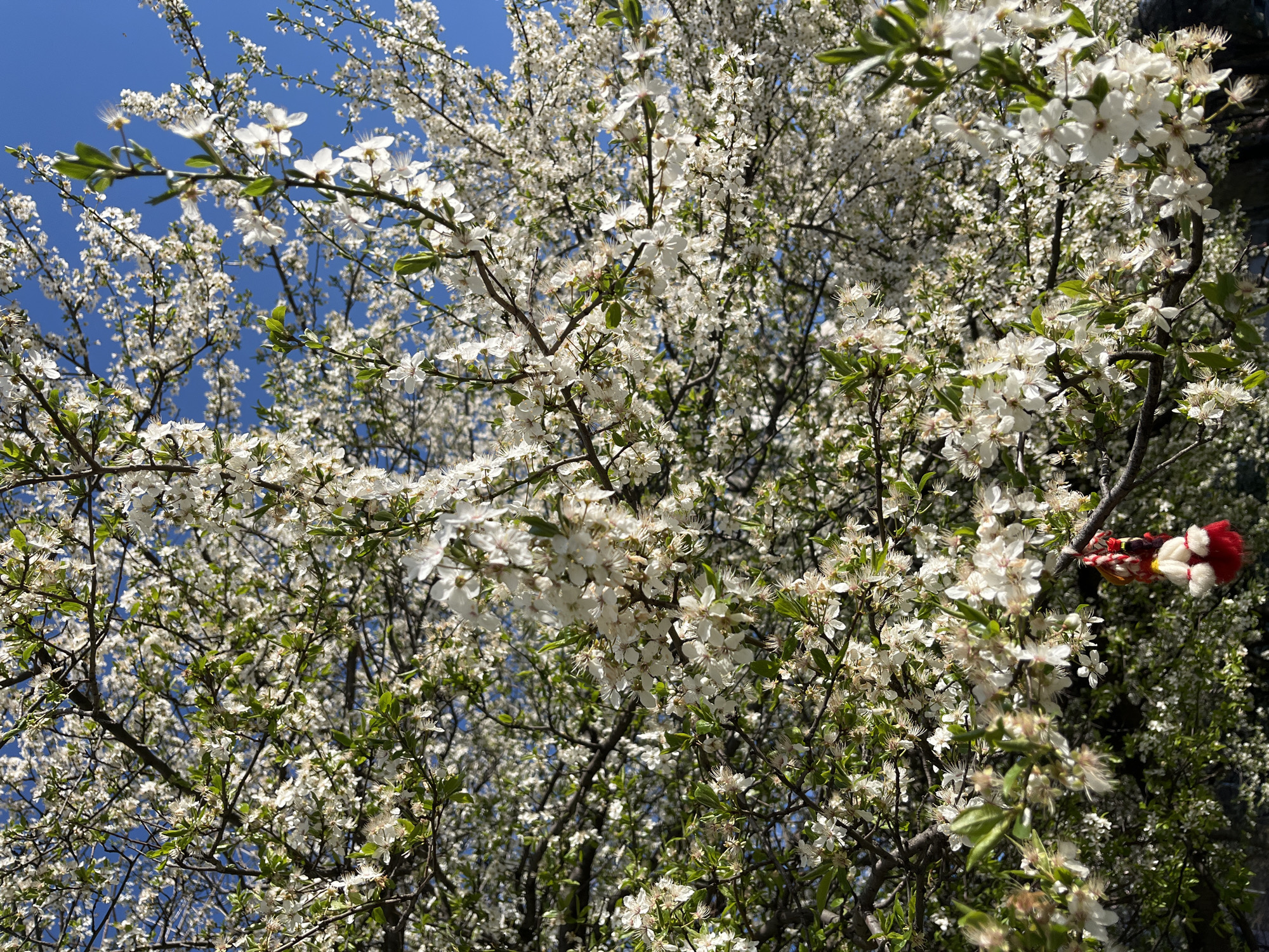 Spring day scenes captured across Sofia, Bulgaria