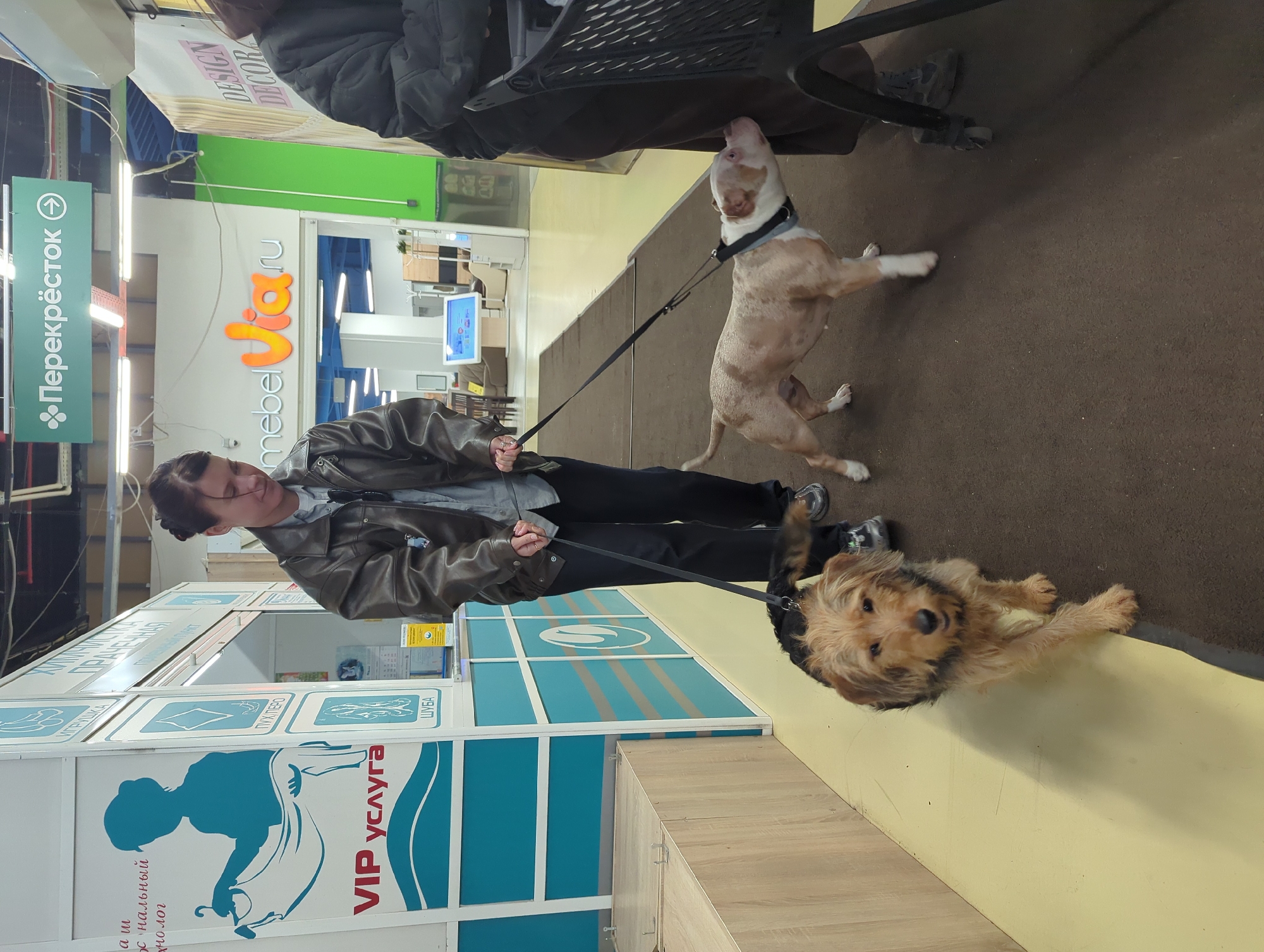 Family with dogs enjoys shopping and fast food outing near Moscow