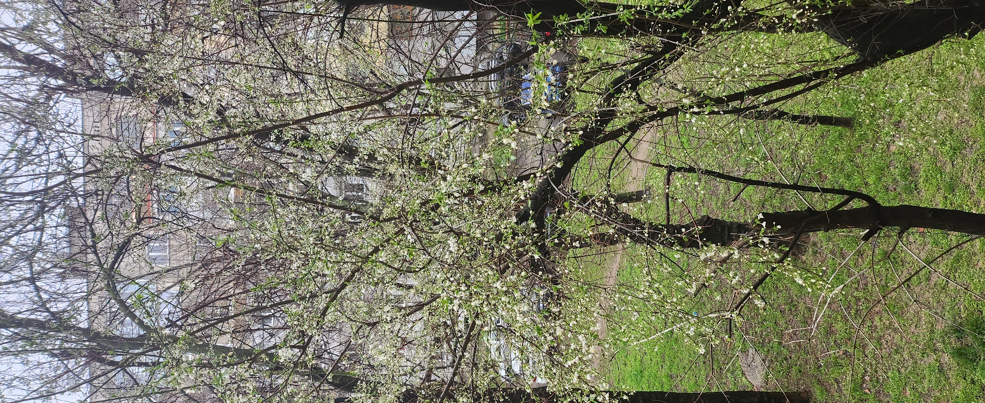 Spring morning scenes captured in Ruse, Bulgaria
