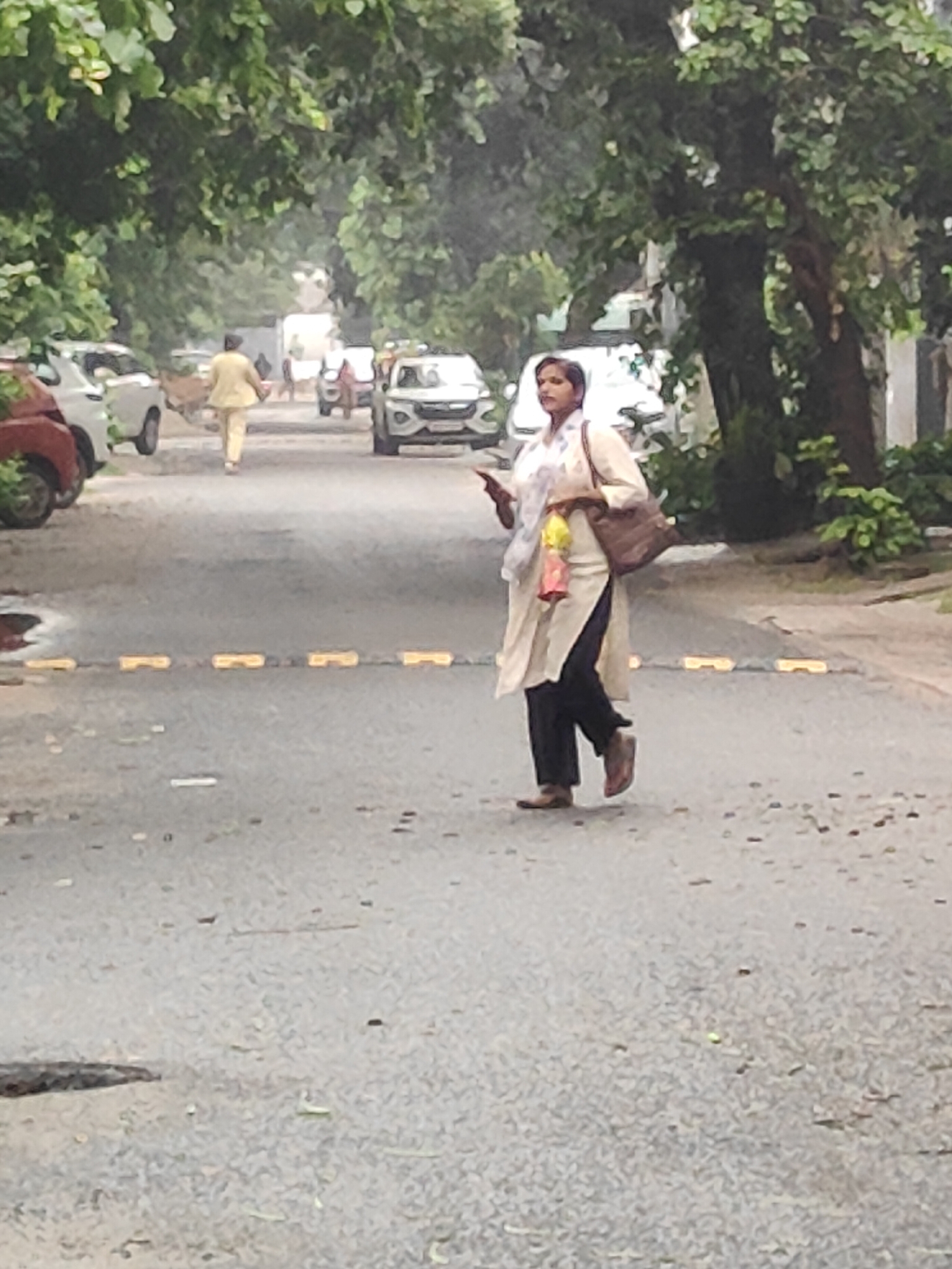 Wet morning in Gurgaon: streets, stray animals, and a soggy park