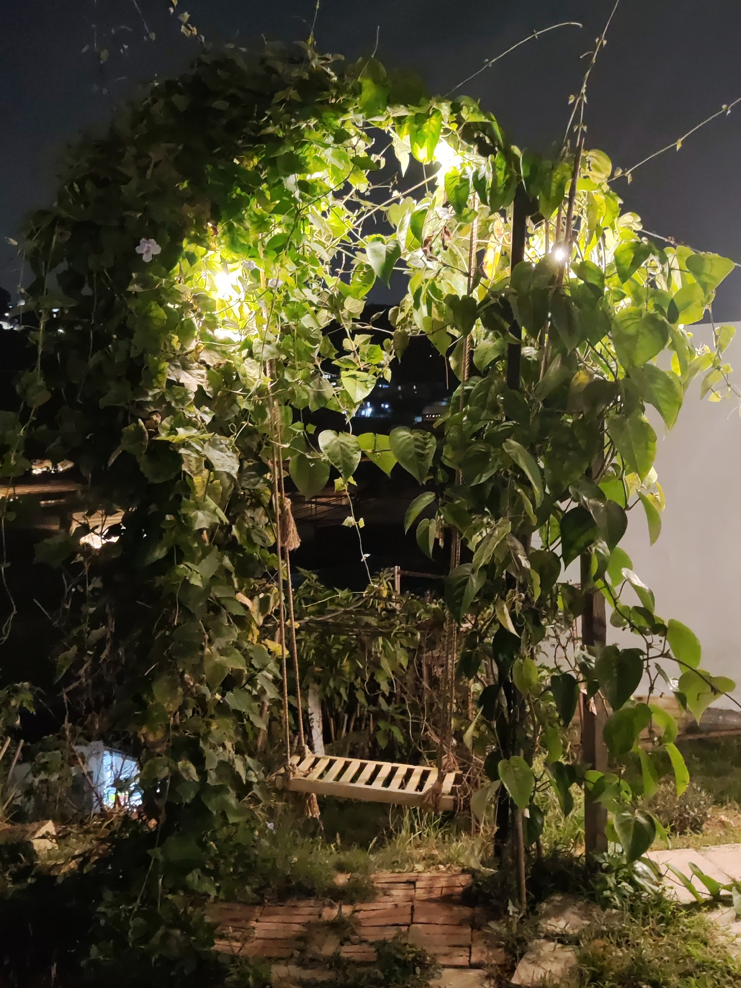 Nighttime garden visit and Vietnamese dining in Da Lat