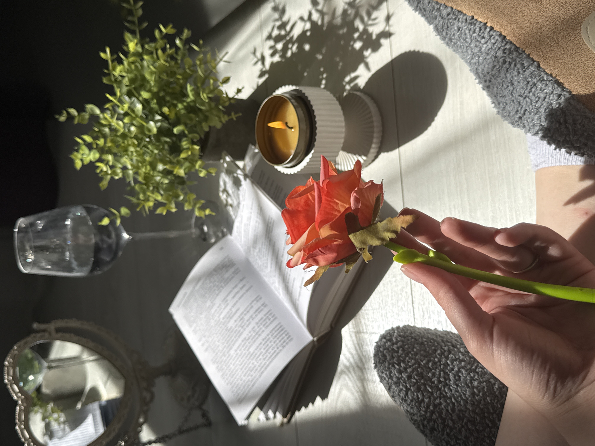 Sunlit still life arrangement captured in 26 memories