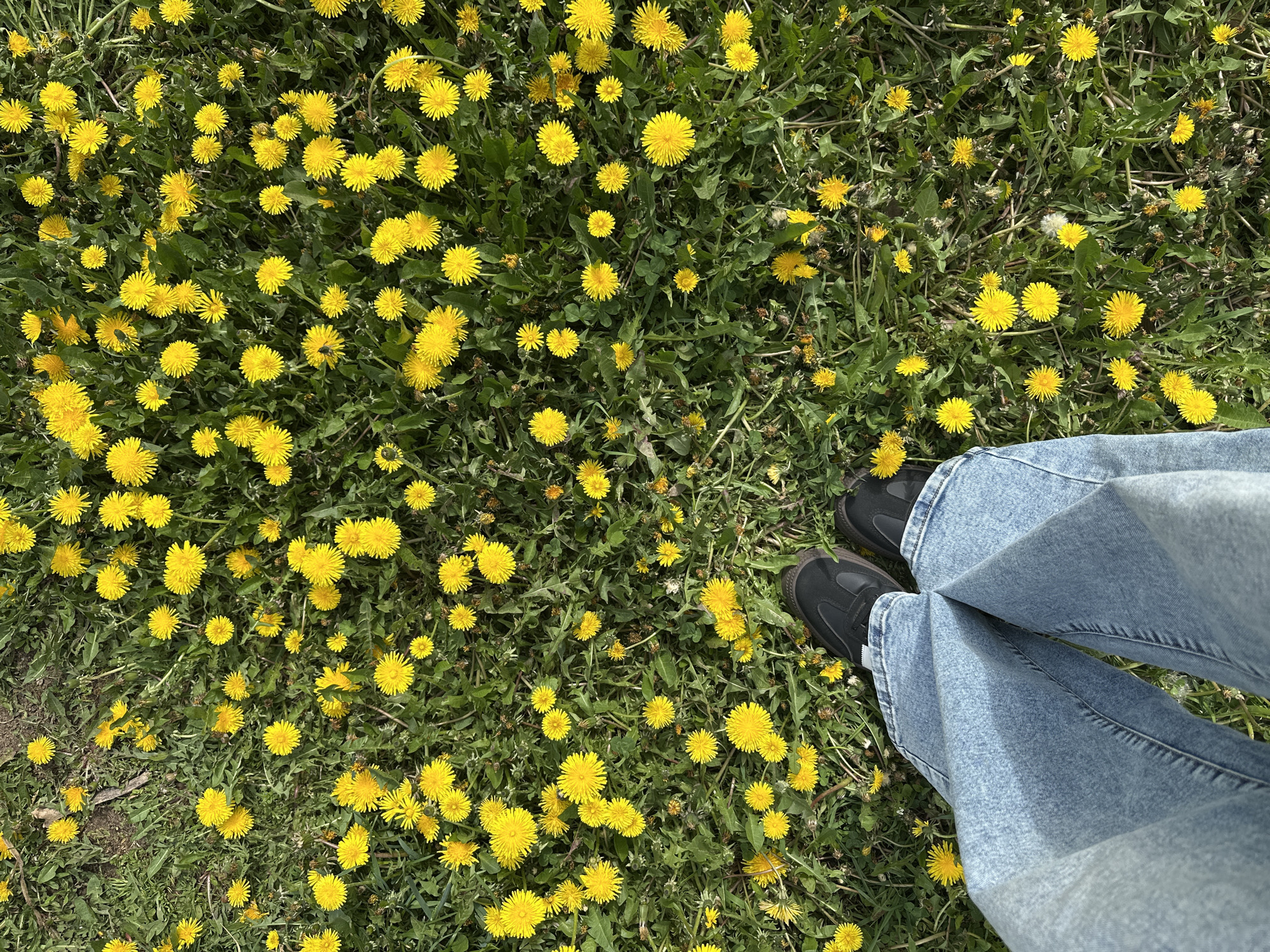 Morning routine documented in Chaikovsky, Russia residential area