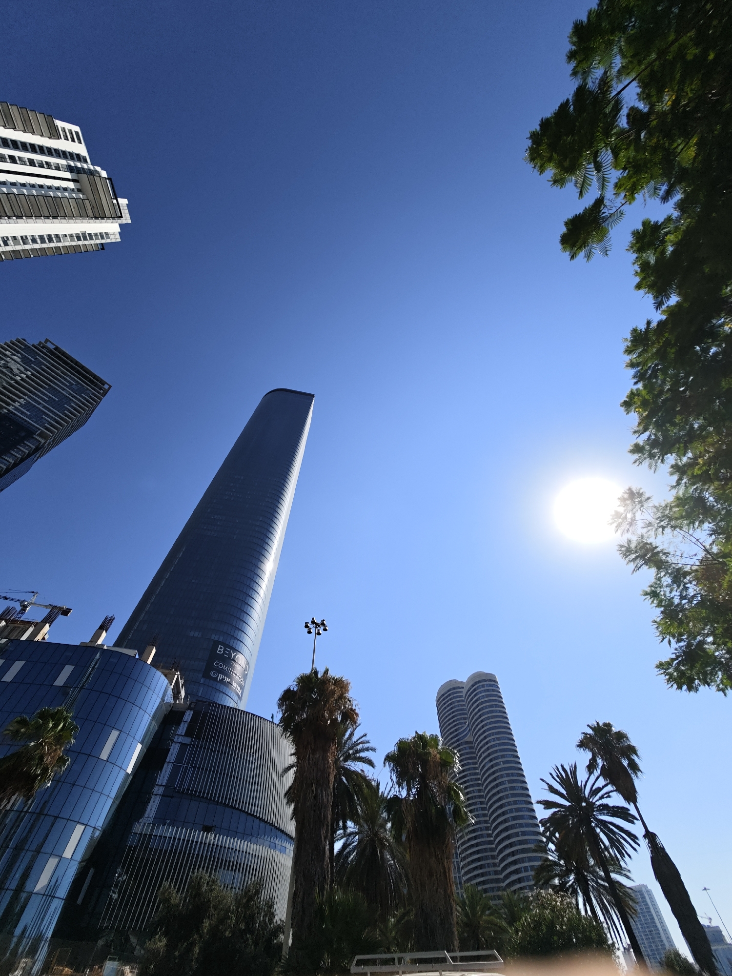 Glass towers and palm trees in the Tel Aviv–Givatayim skyline