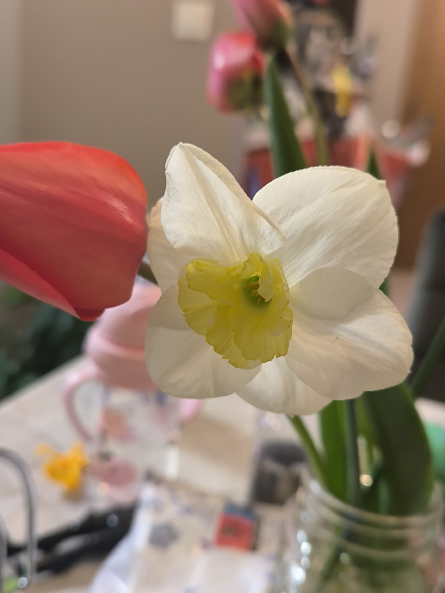 Spring flowers arranged in jar captured in Sofia
