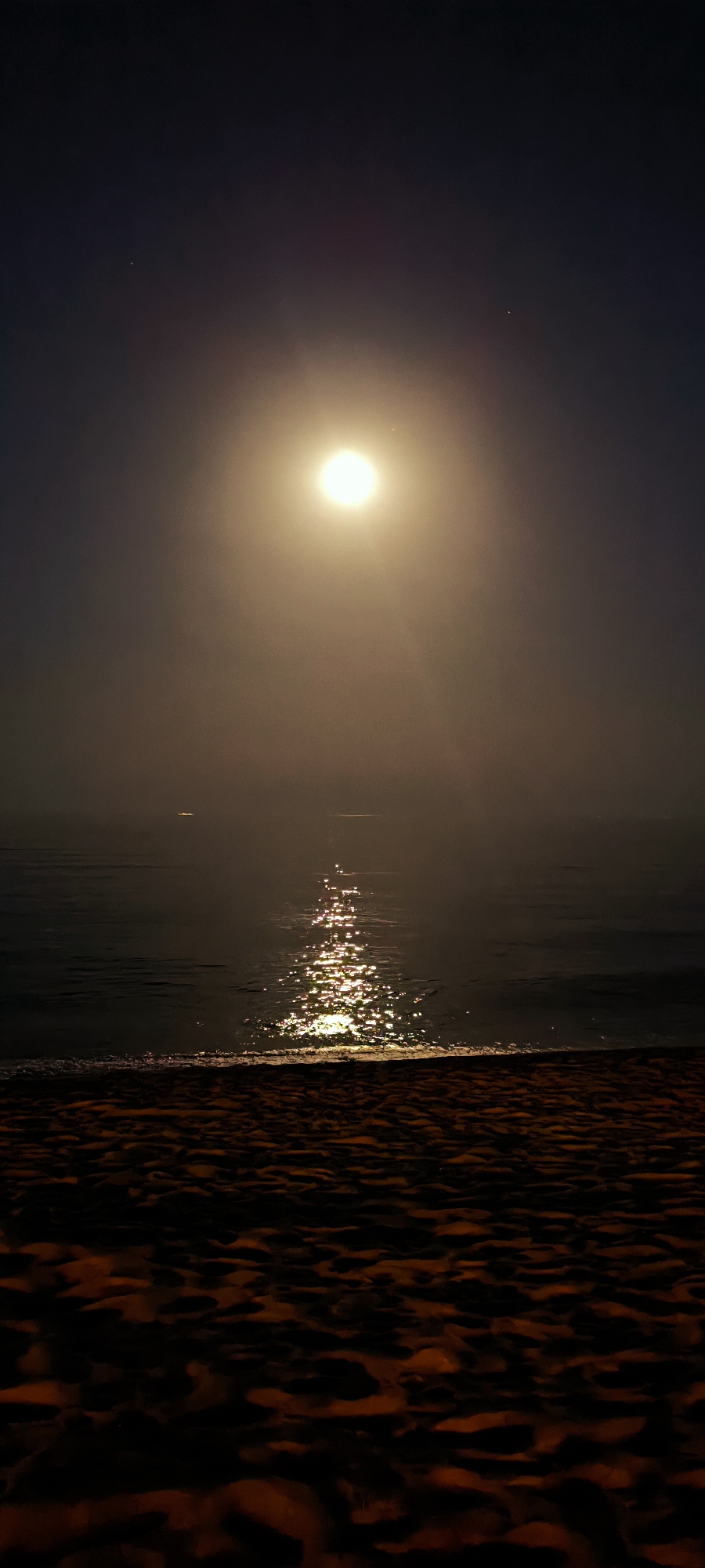 Full moon night at a Premià de Mar beach with a dog