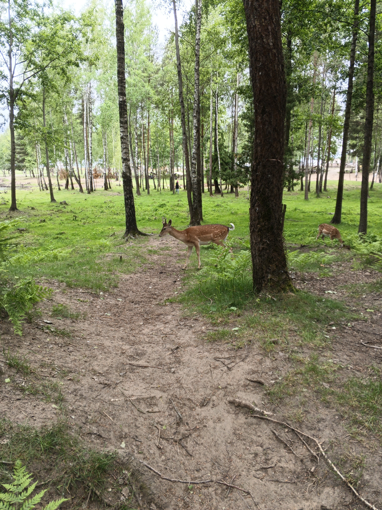 Visitors tour wildlife sanctuary in rural Belarus