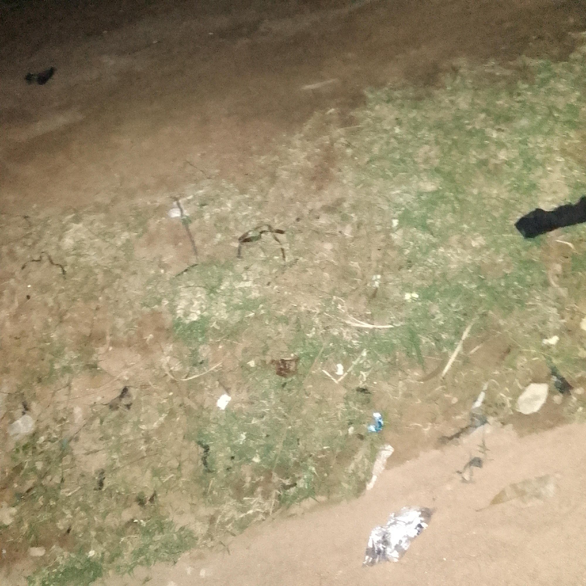 Evening tailoring workshop activities documented in Jauro Yinu, Nigeria