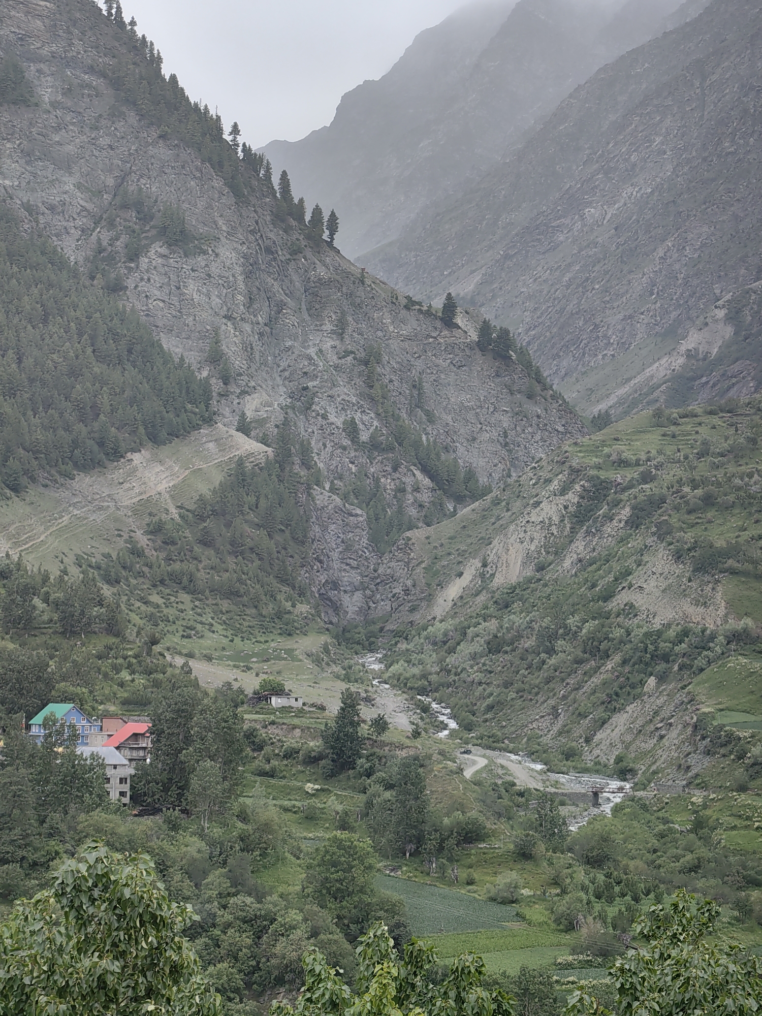 Misty morning in the Shansha valley, tea included