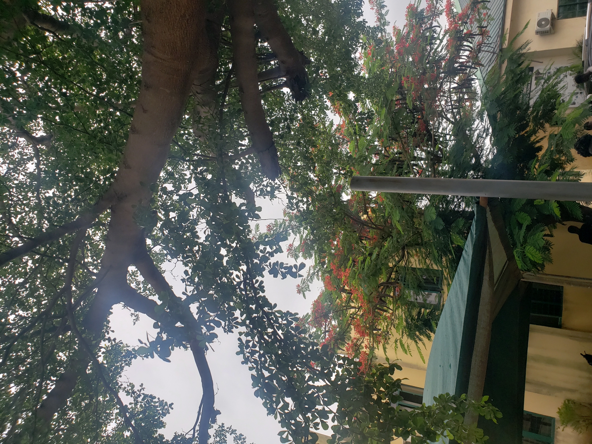 Outdoor scenes with vehicle and building documented in Kaduna