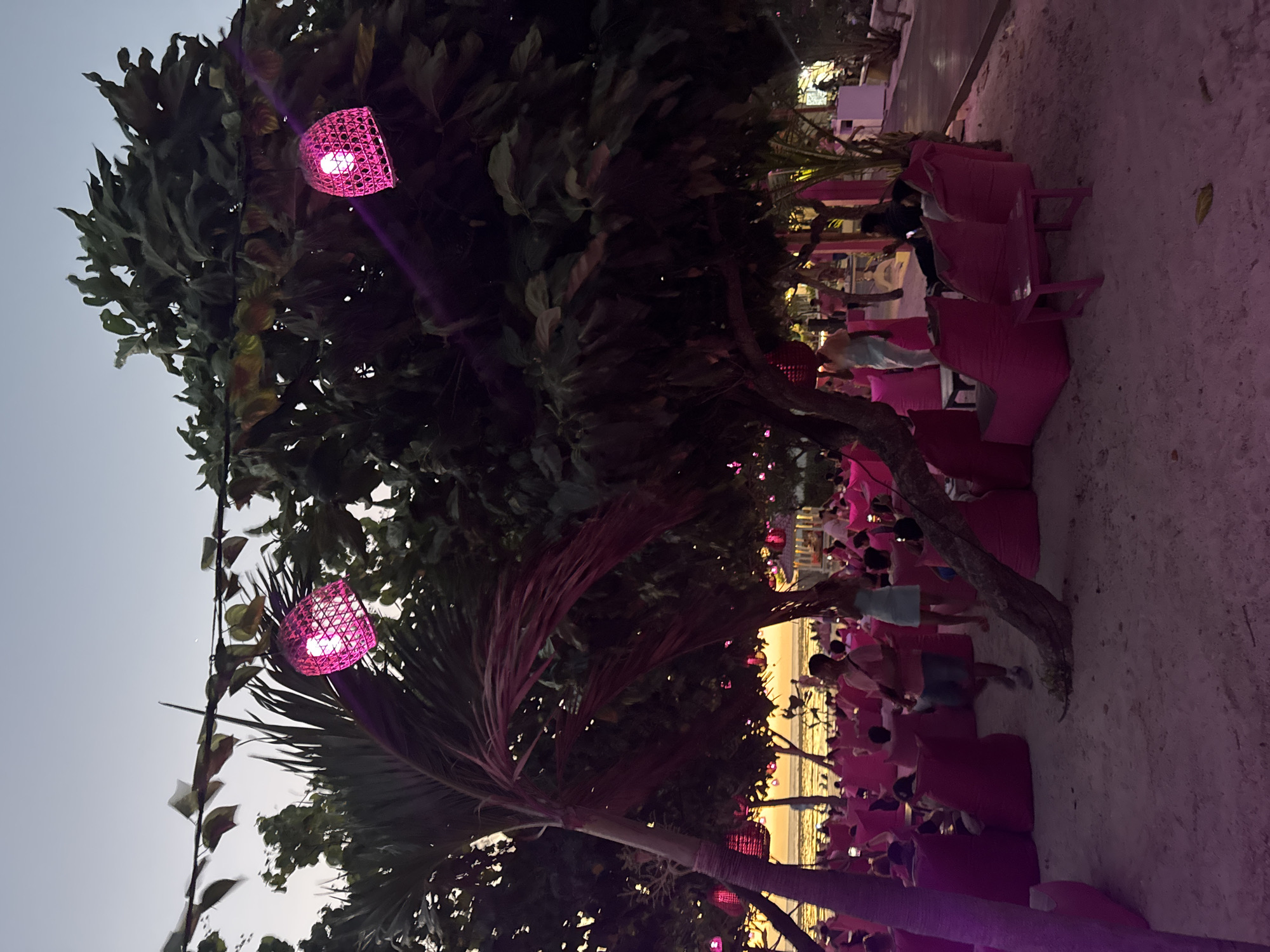 Pinkcoco beach lounge at dusk, pink lights and full moon