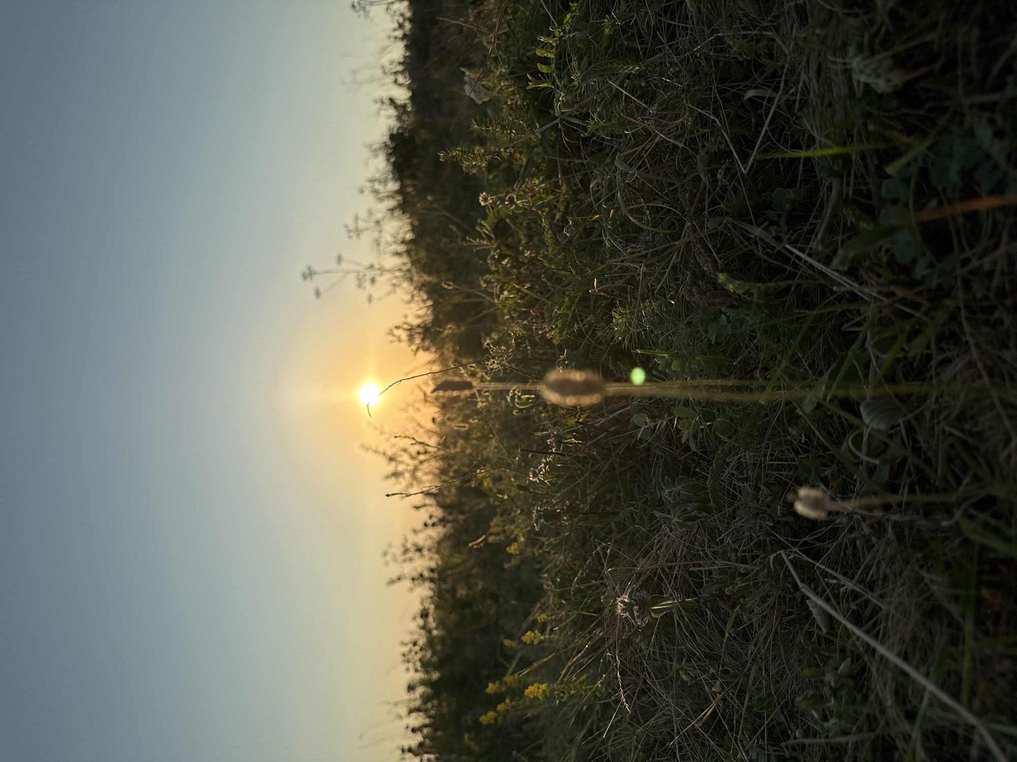 Sunset picnic in the grass with rolling hills views