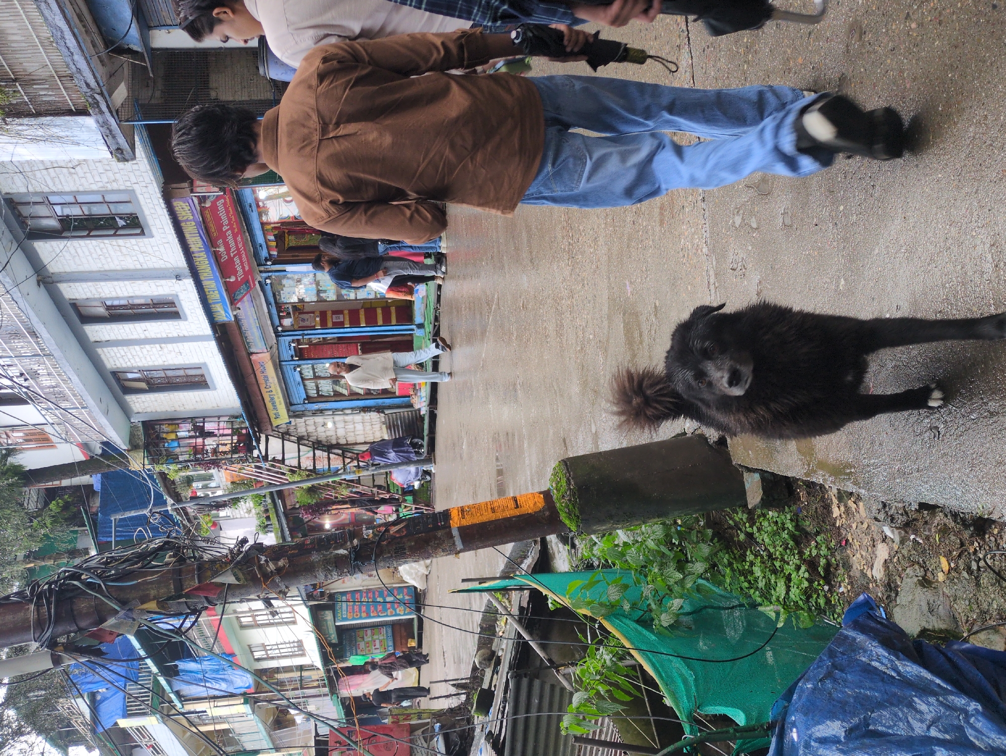 Misty afternoon wandering Bhagsu and Dharamkot's streets and hills