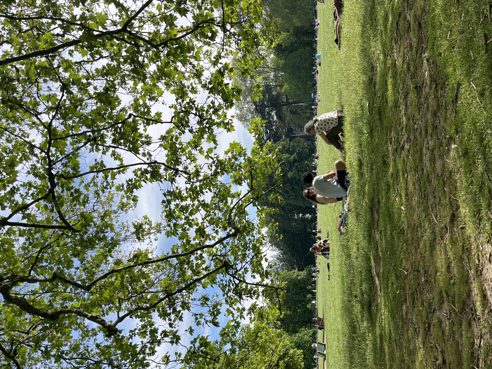 Sunny afternoon brings crowds to Lyon park for leisure activities