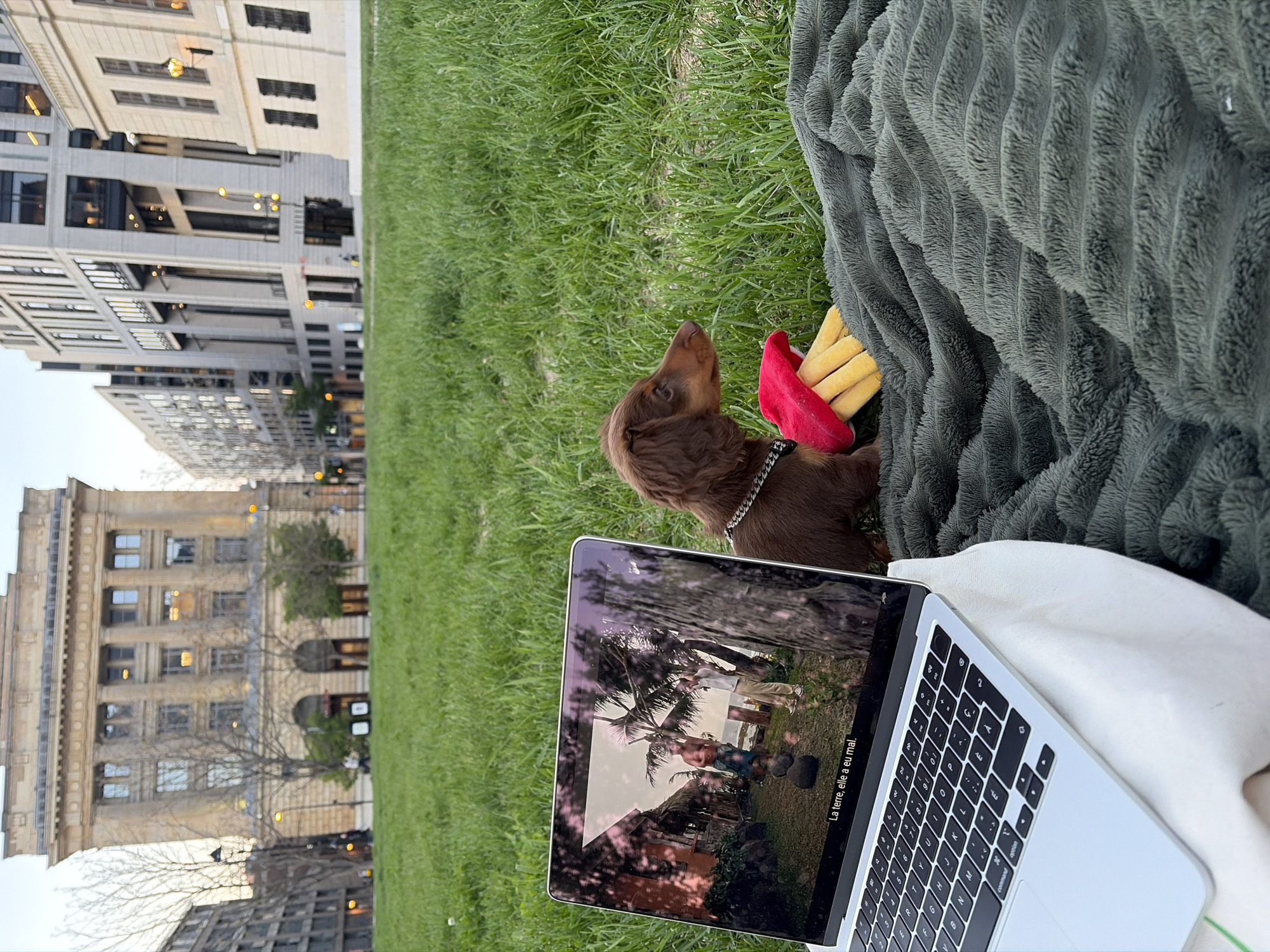 Person enjoys early morning park time with dachshund puppy in Montreal