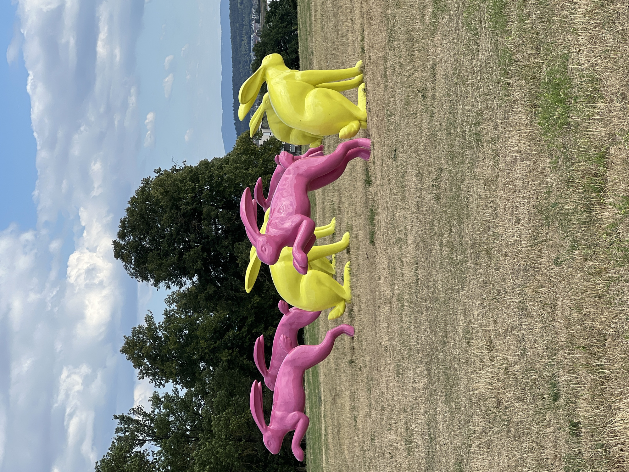 Giant rabbit sculptures and park life on a sunny afternoon