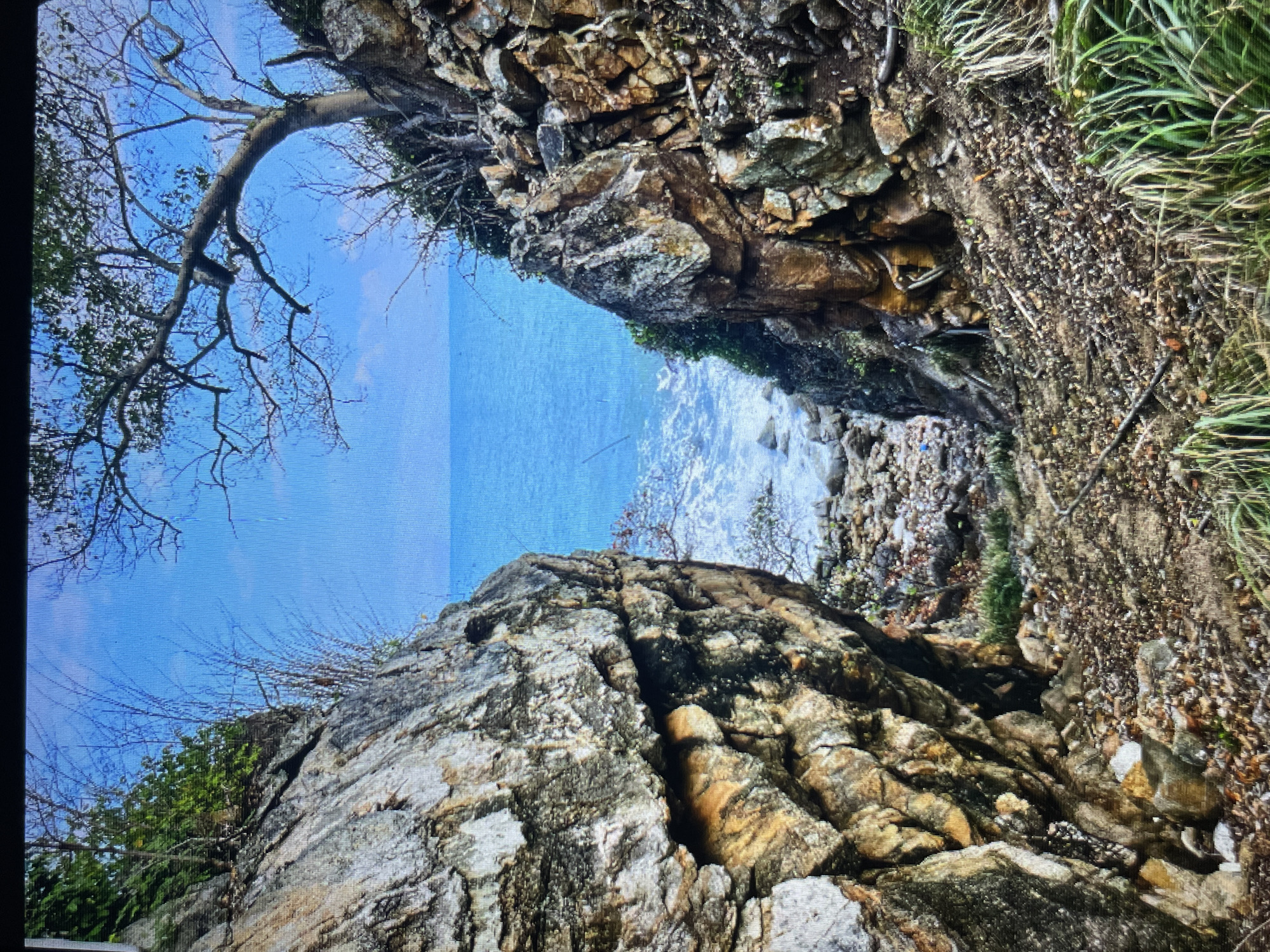 Hanging out on a rocky coast by the sea.