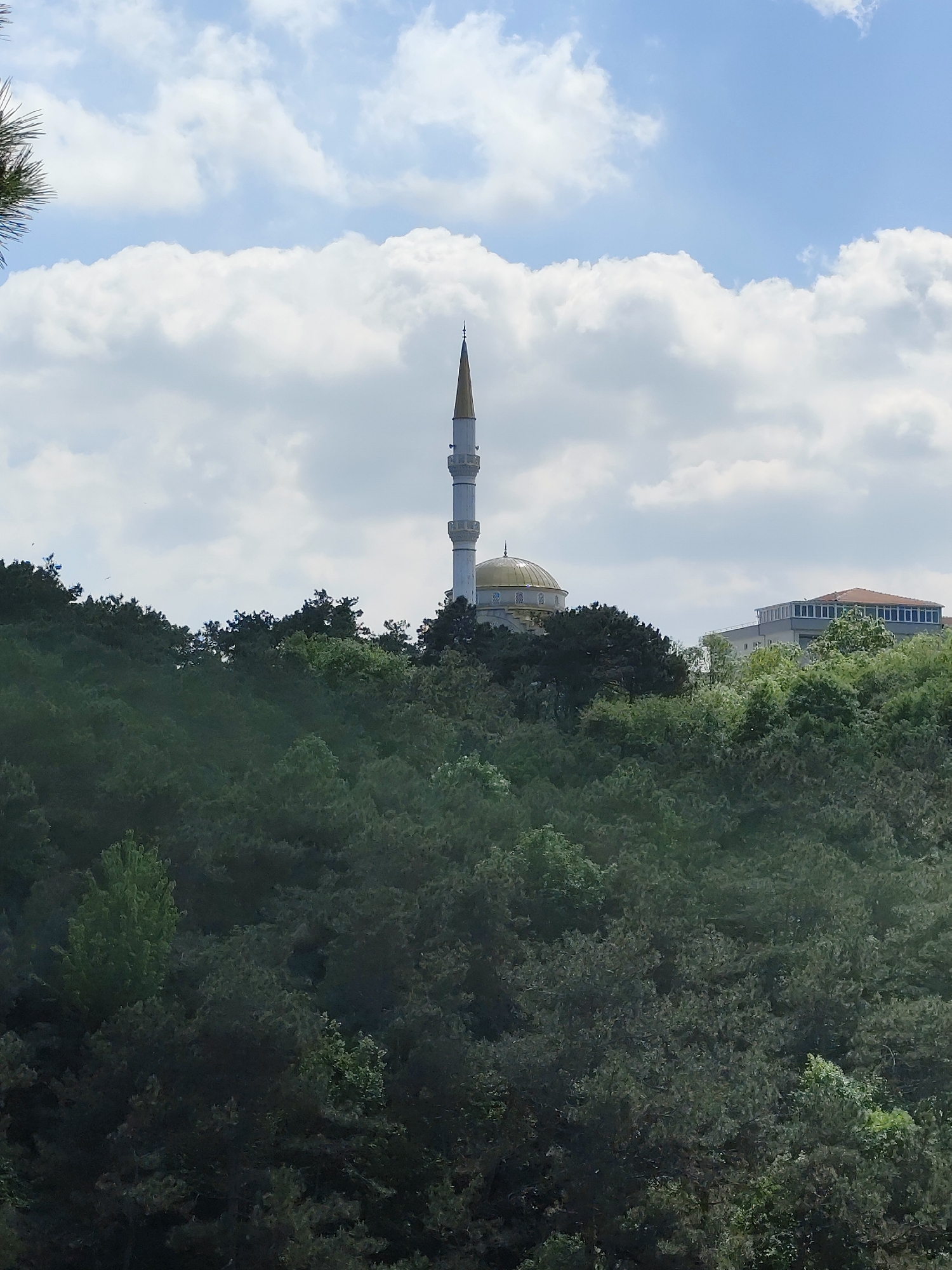 Visitors explore scenic forest walkways and overlooks in Sarıyer