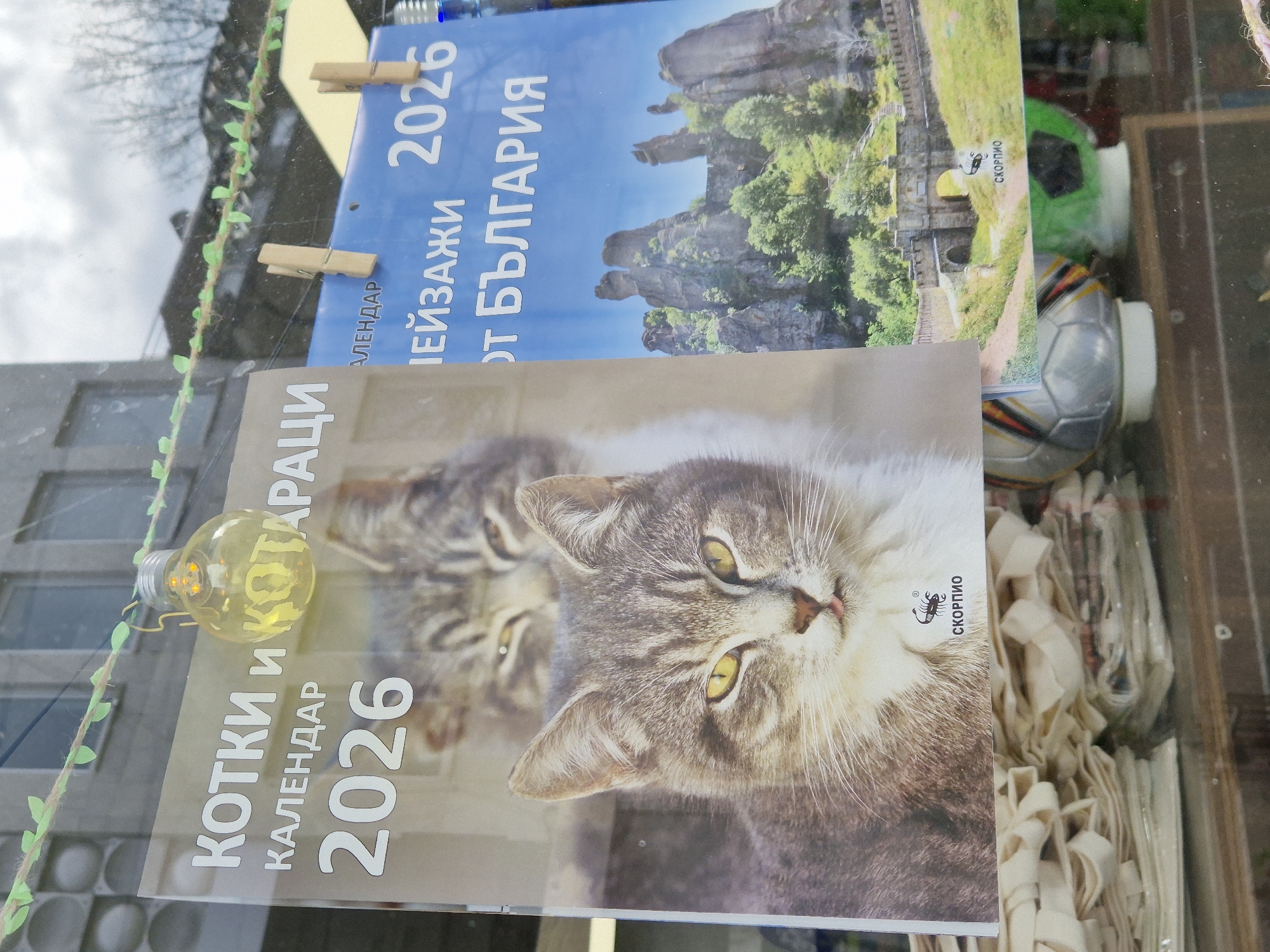 Spring afternoon scenes captured in Varna: cats, Easter tulips, weathered buildings