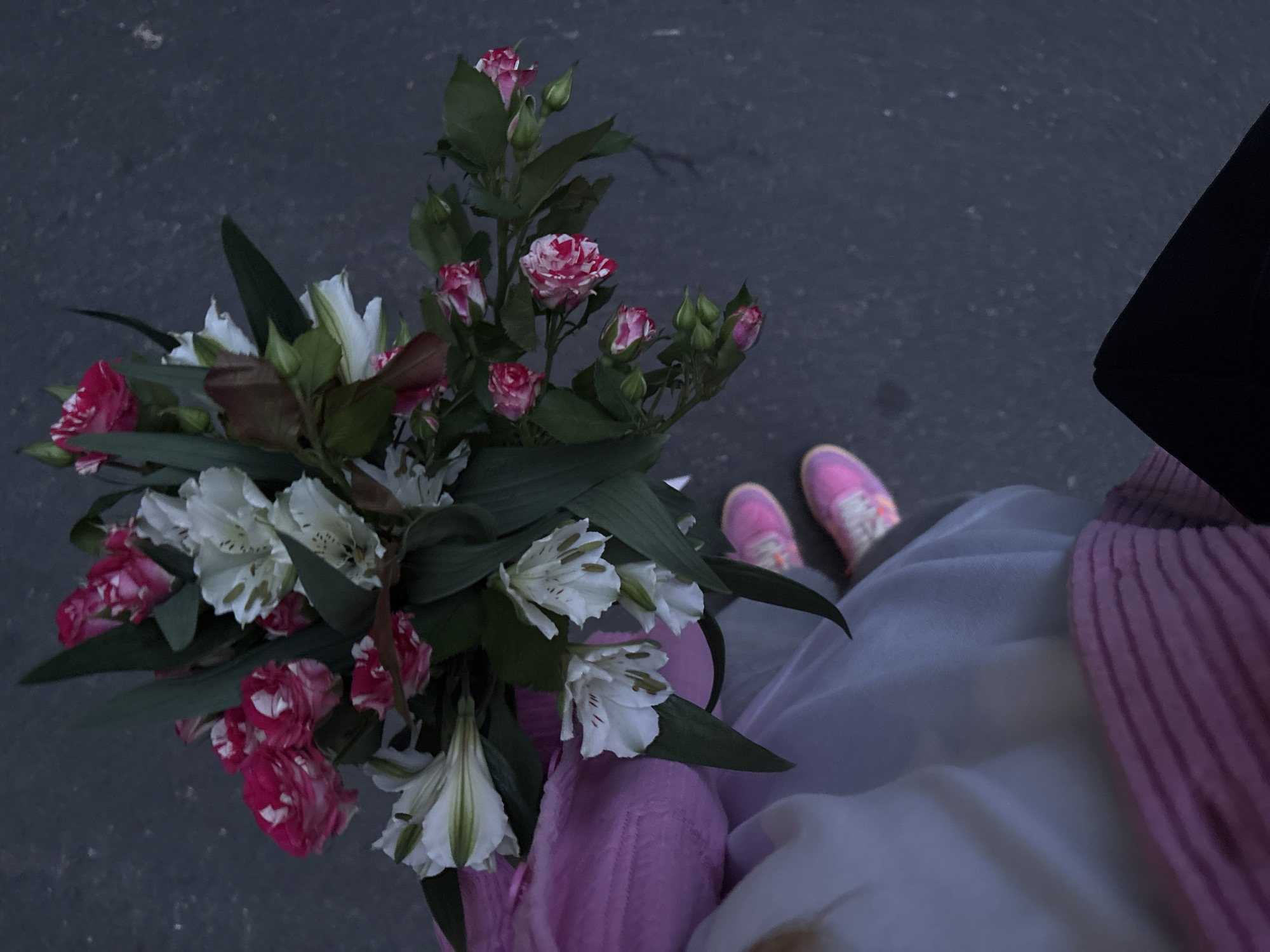 Evening moments captured across Minsk: flowers and sunset traffic