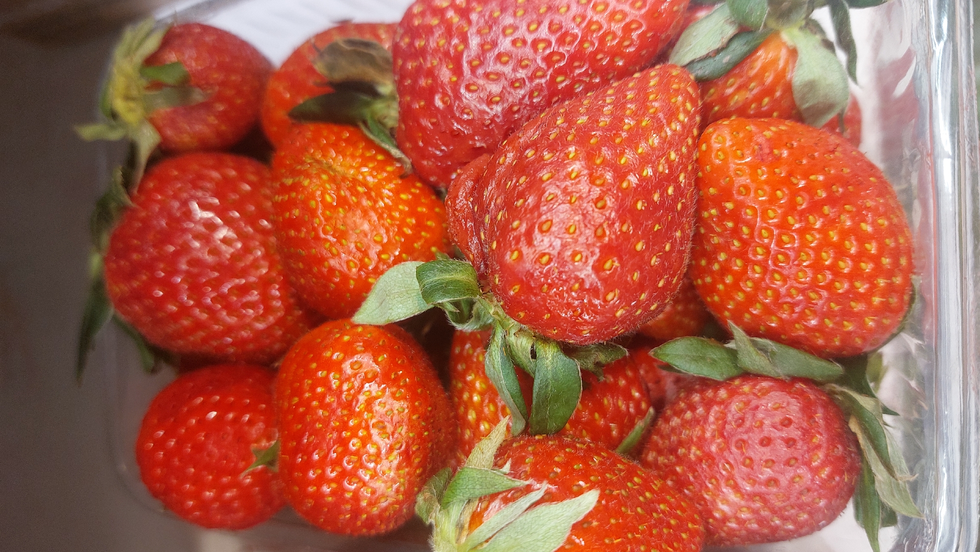 Fresh produce shopping documented in Novosibirsk market area