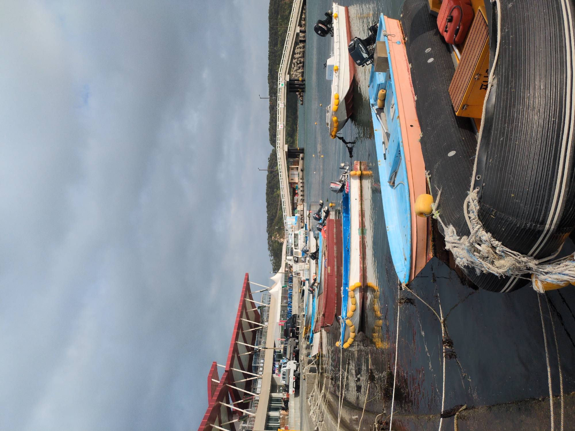 Marina scene documented in Ulsan, South Korea
