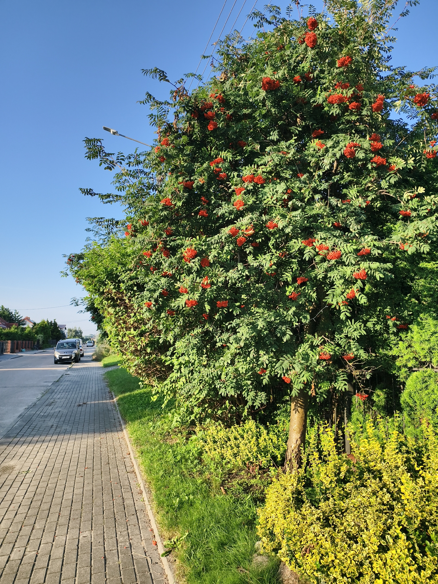 Tczew, Poland