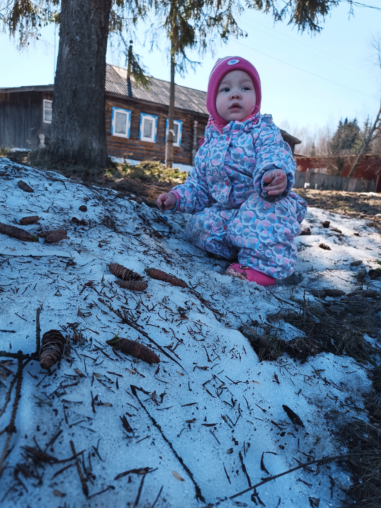Child plays with pinecones in melting snow in Russian village