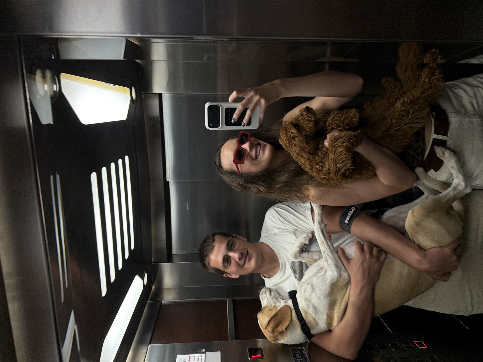 Couple takes elevator selfie with two dogs in Budva