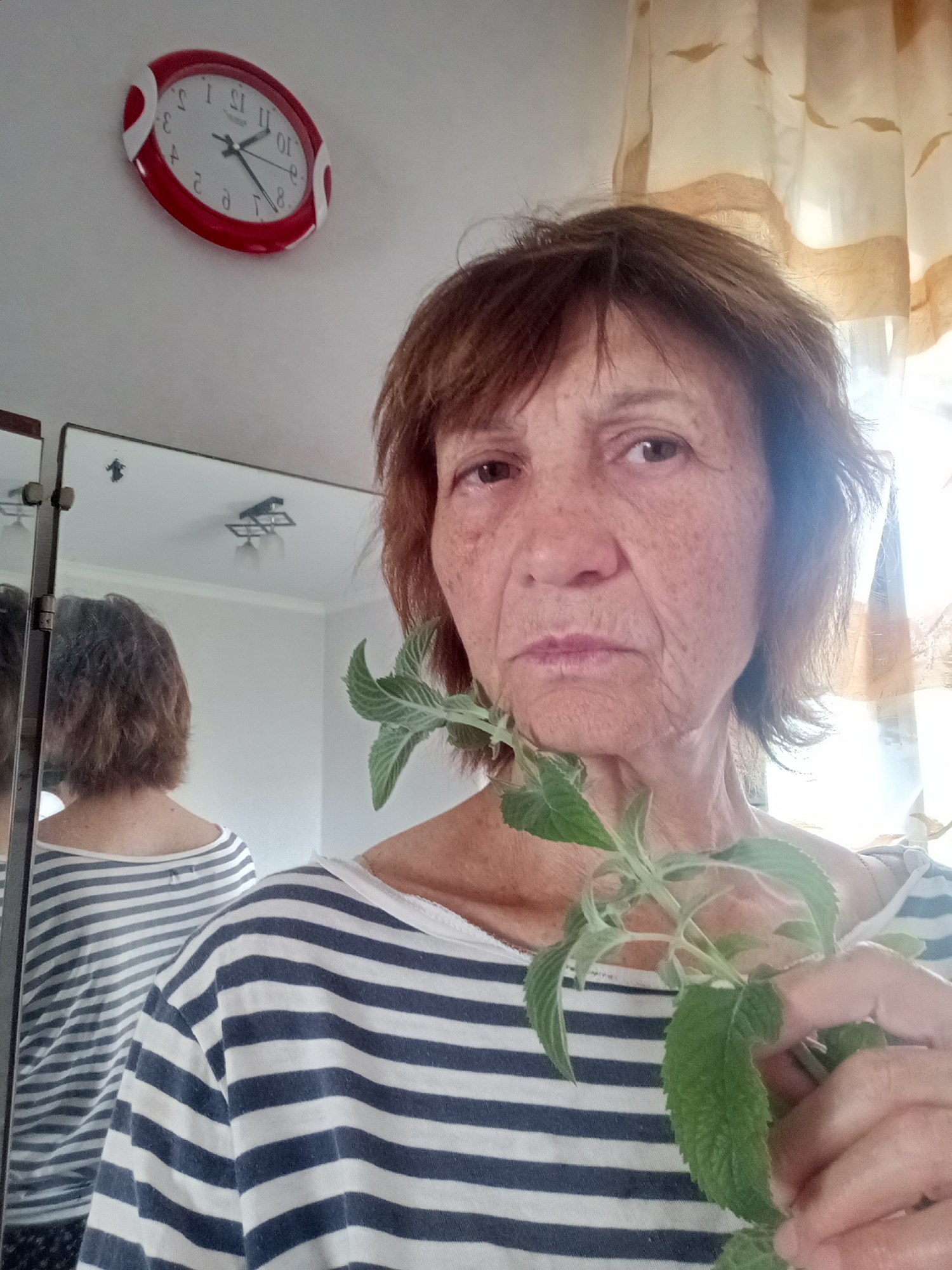 Closely inspecting a green plant sprig in a kitchen setting