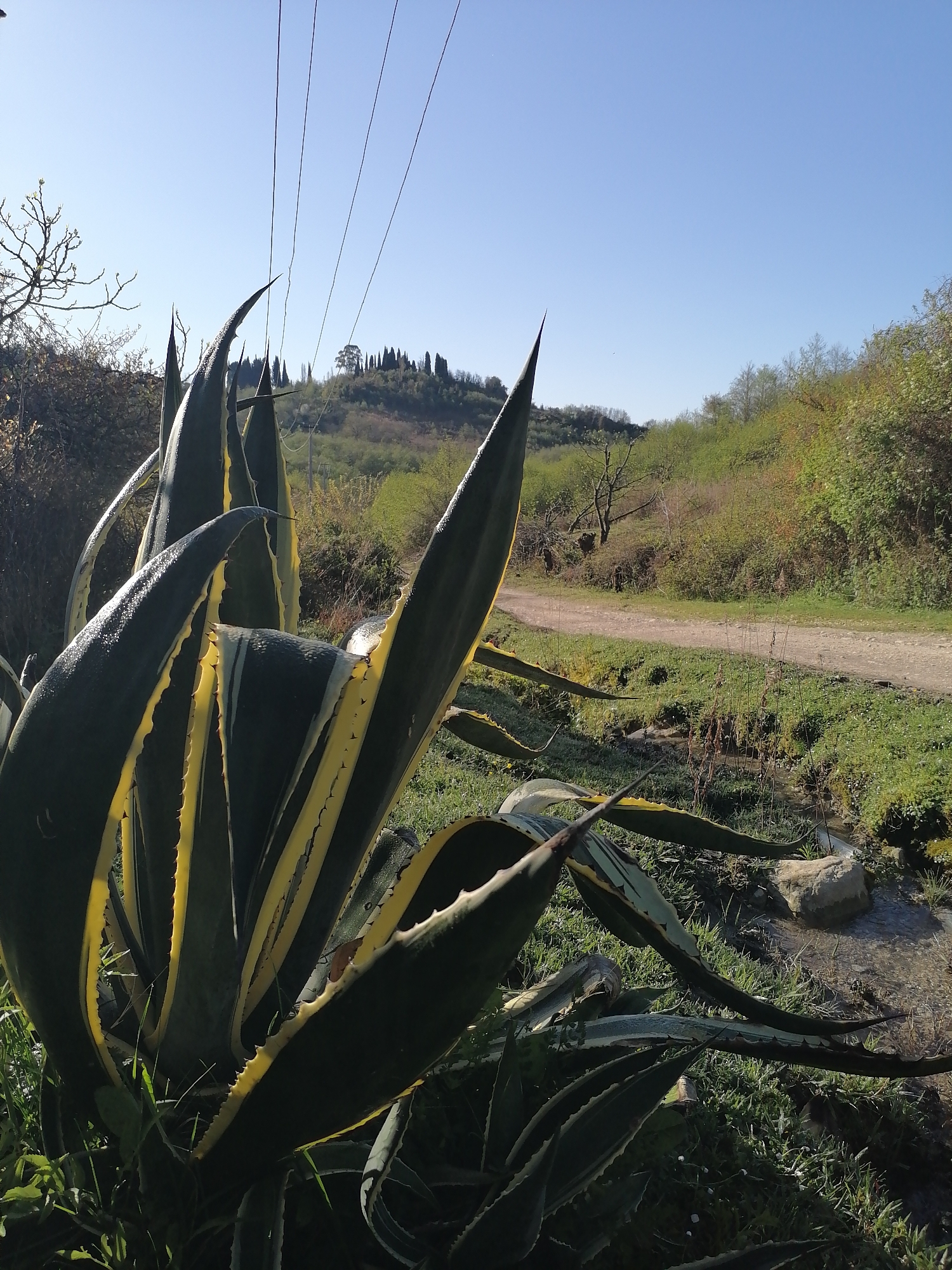 Rural landscape and portrait photos captured during sunny morning