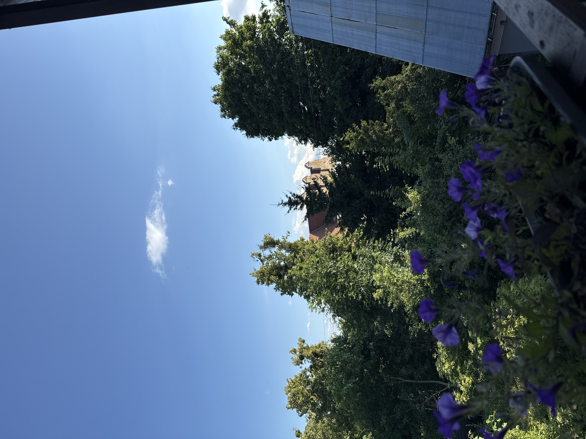 Balcony afternoon in Mikołajki, with flowers, trees, and a curious bird