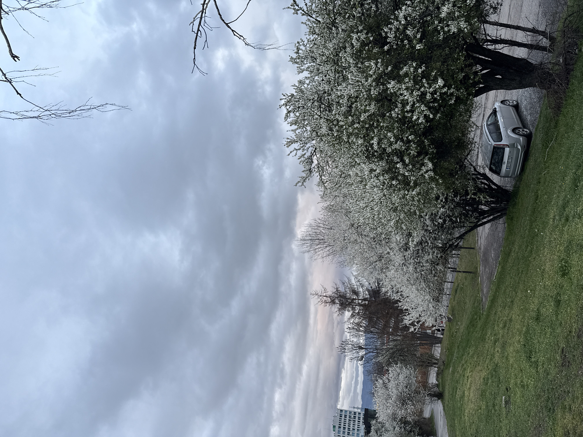 Sofia resident enjoys spring meal preparation and outdoor dining