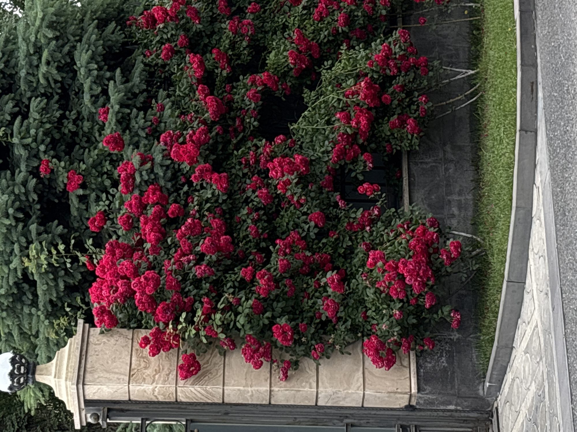 Ordinary street scenes documented across Yerevan during morning hours