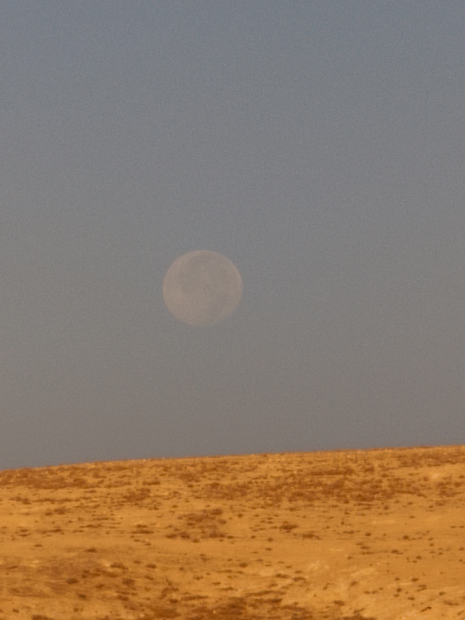 Desert life in Keidar: livestock, riders, and open terrain