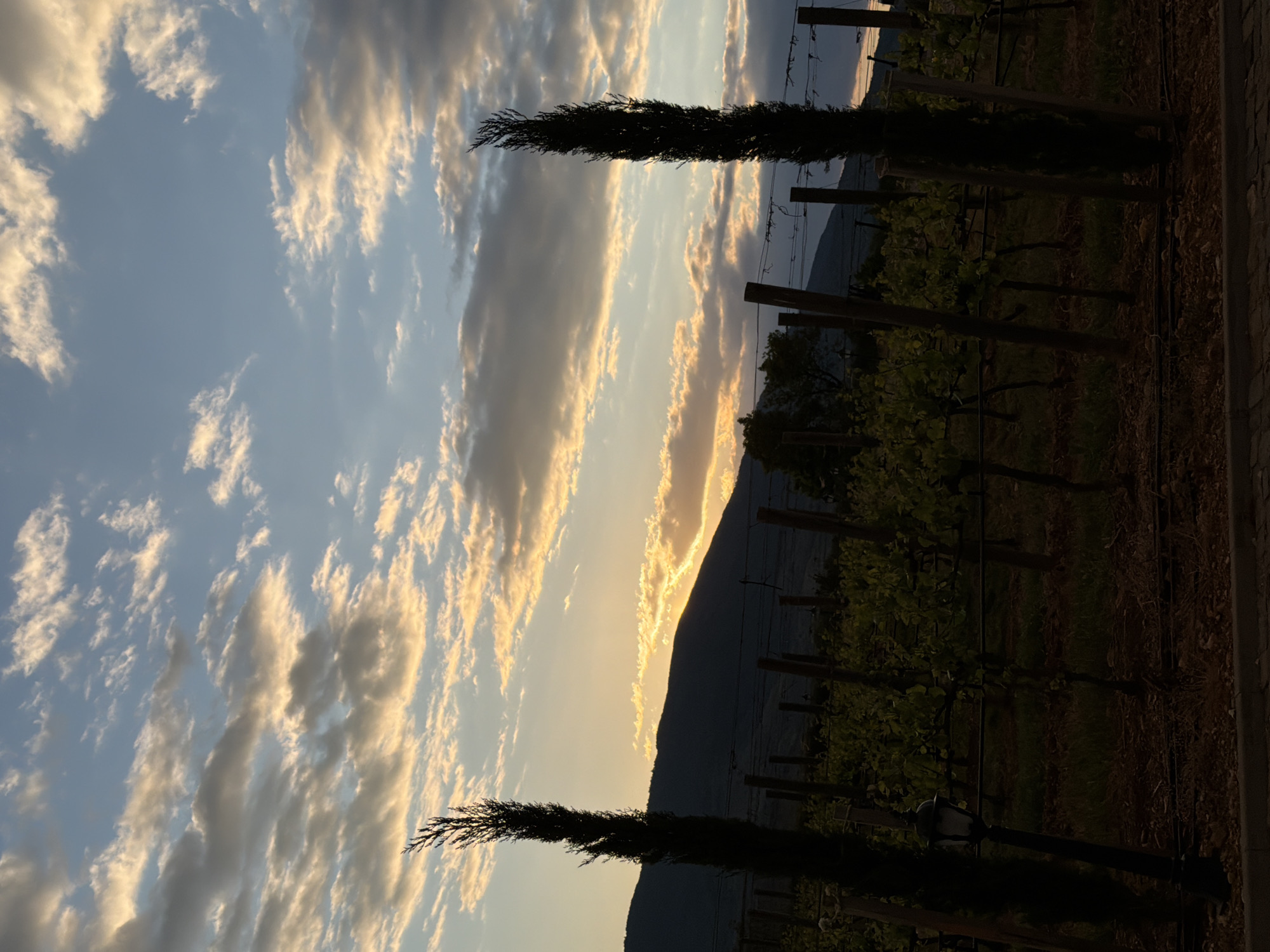 Bulgarian vineyard estate visit captured with rainbow over mountains