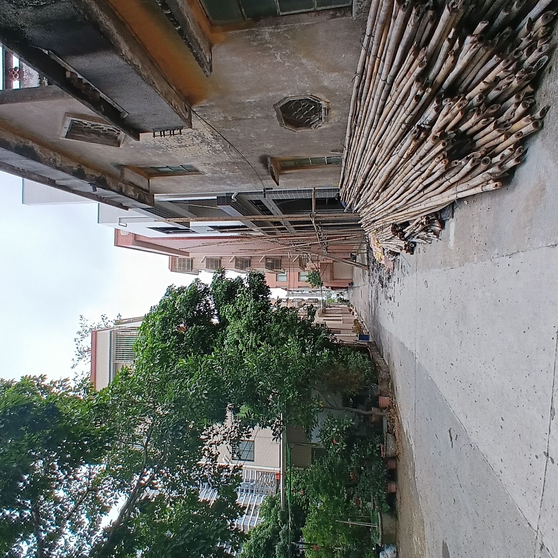 Morning life documented across Shunde District neighborhoods