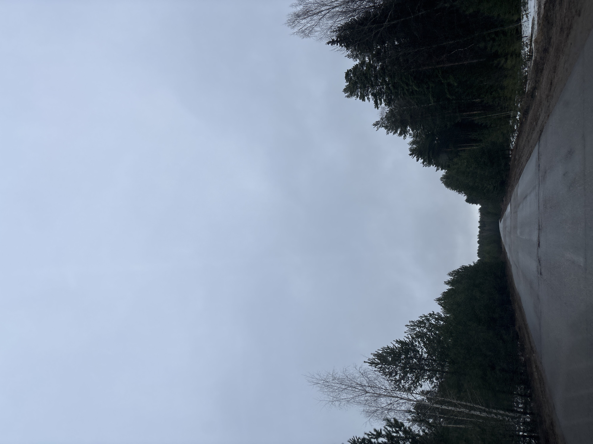Wet road conditions documented near Chaikovsky, Russia early morning