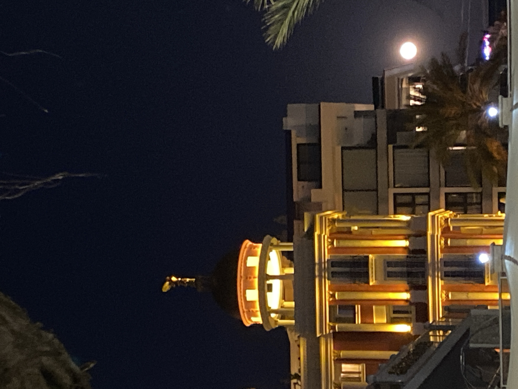 Evening moments captured in Alanya: moonlit cityscape, red roses